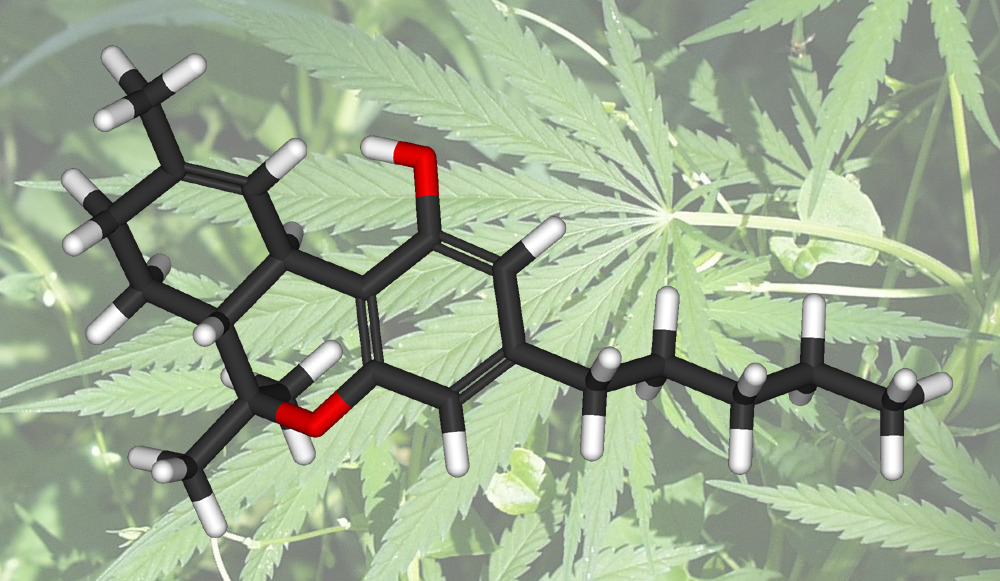 a-cannabis-farm